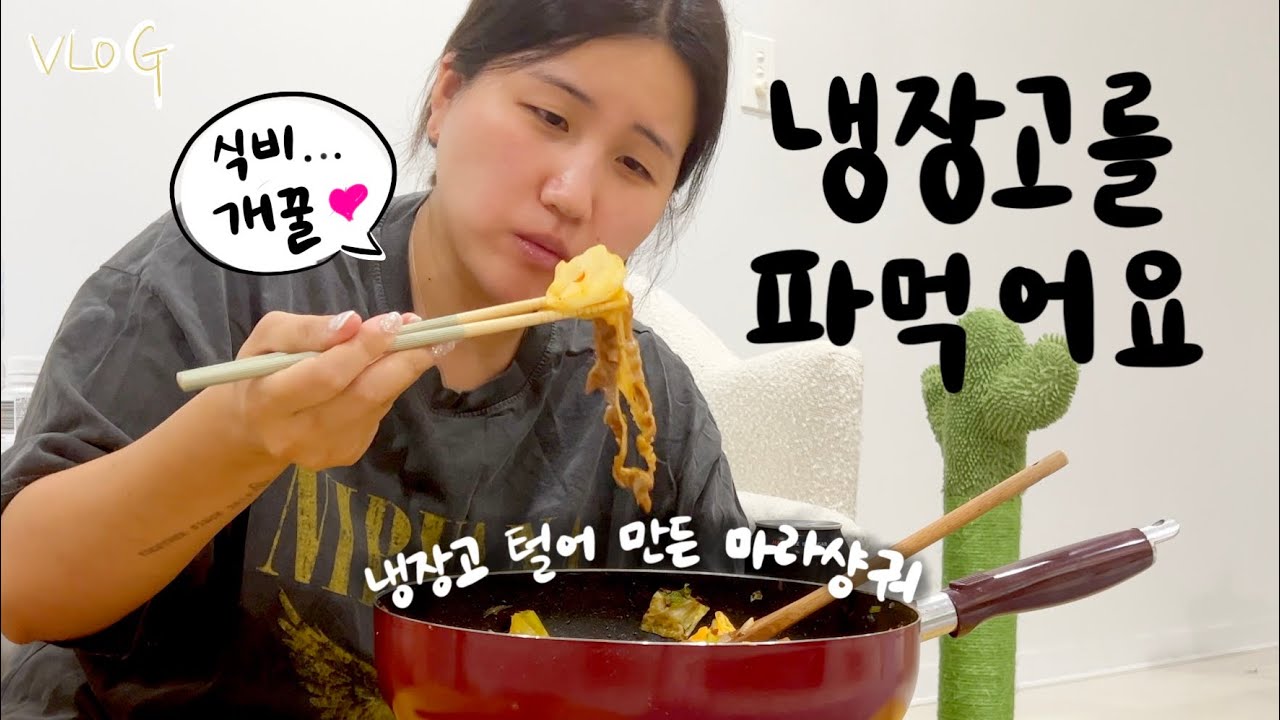 물가상승...멈춰..! 냉장고 파 '먹는' 브이로그 🍳