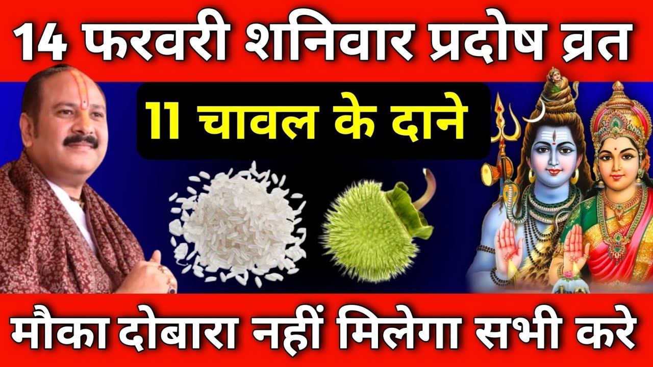 14 फरवरी फाल्गुन शनिवार प्रदोष व्रत के दिन 11 चावल के दाने वाला उपाय जरुर करे || Pradeep Ji Mishra 