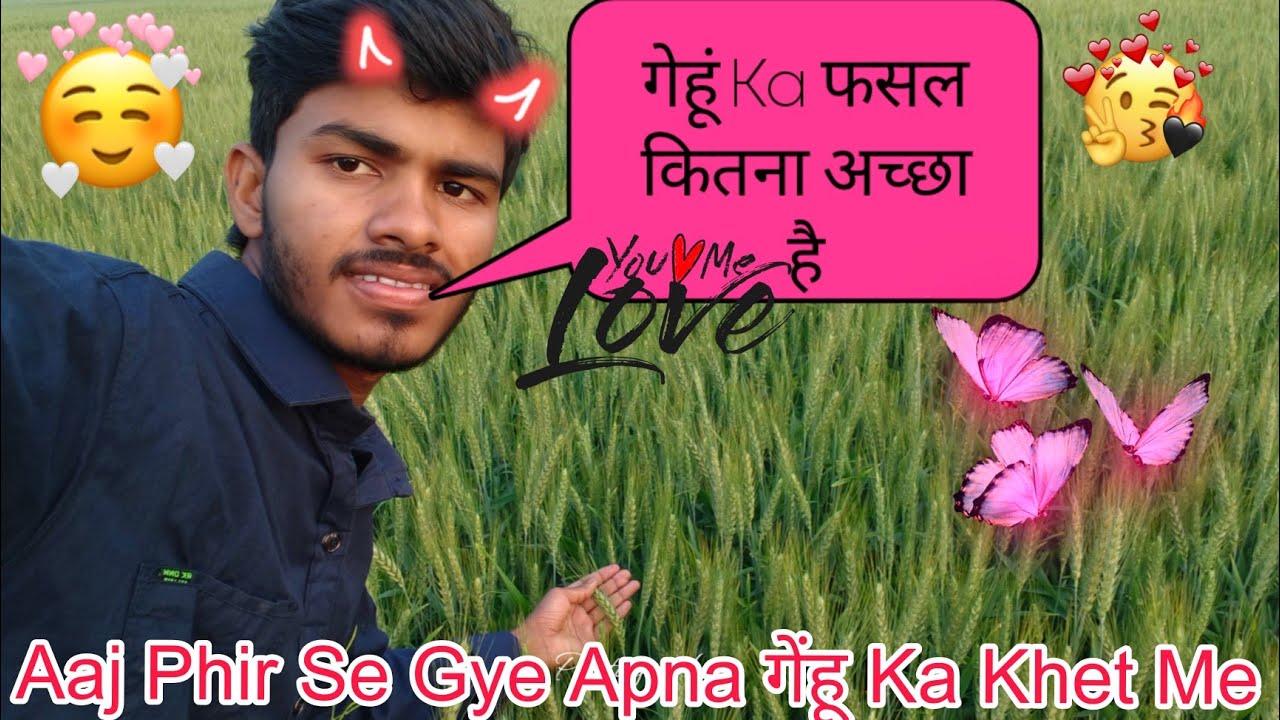 Challenge Ka 55 Day's ✅ Aaj Phir Se Gye Apna गेंहू Ka Khet Dekhne Ke Liye | Satya yadav 013 vlogs 
