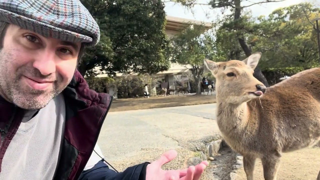 Парк Нара — место, которое обязательно стоит посетить во время пребывания в Японии.