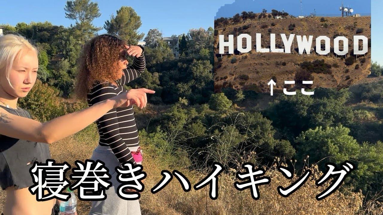 私たちのお散歩物語