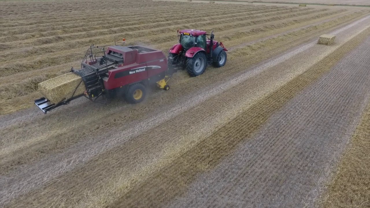 Boerderij compilatie Mts. Onnes 2019