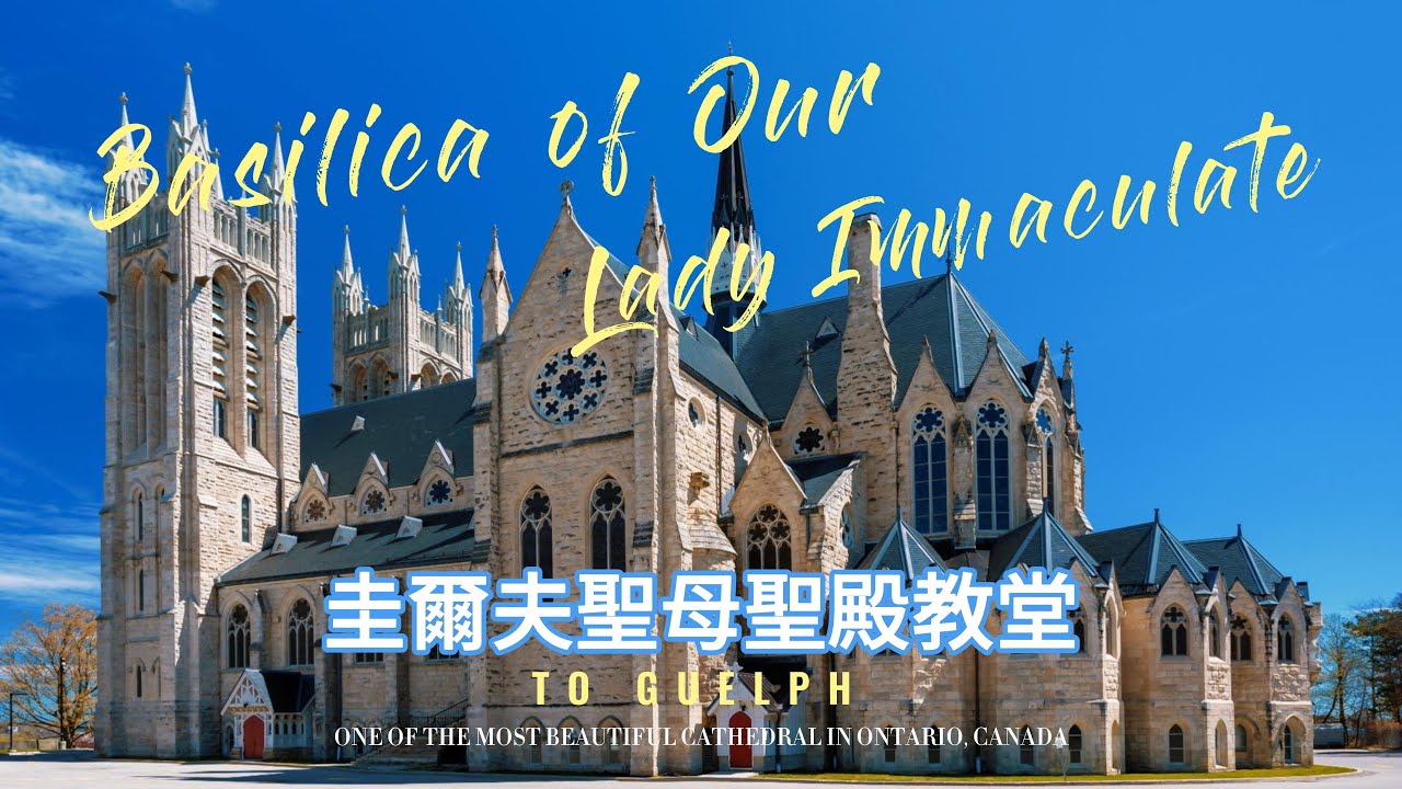 走进加拿大安大略省最美哥特式教堂之一 Basilica of Our Lady Immaculate 圭尔夫圣母大教堂 Guelph 地标建筑