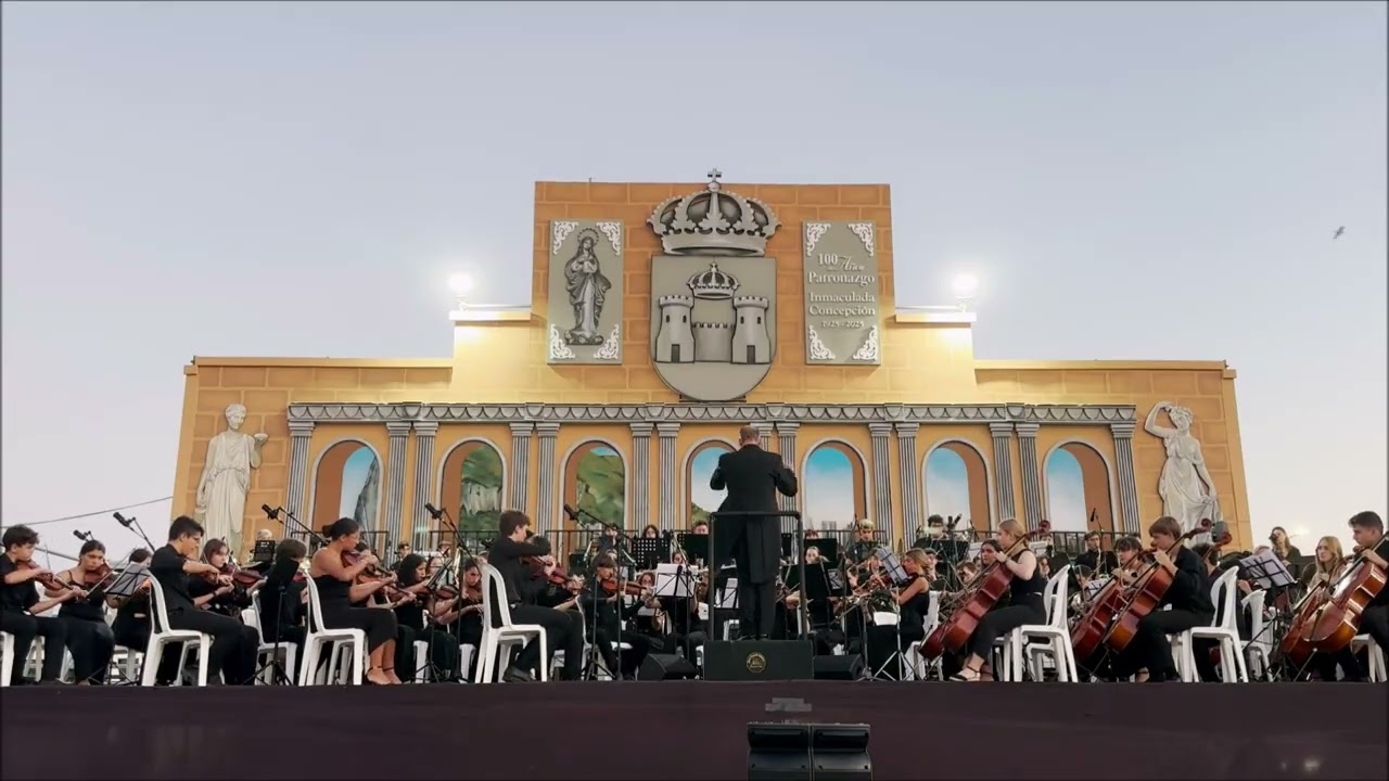 5 Sinfonía. Allegro con brío. 1º movimiento. L. van Beethoven