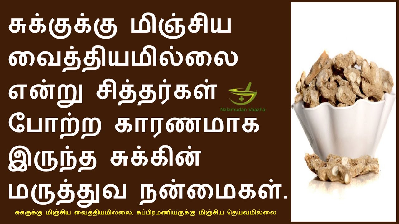 சுக்கு பற்றி பாட்டி சொன்ன ரகசியம் | Dry ginger health benefits tamil
