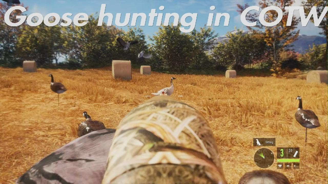 FIRST time hunting geese in COTW DIAMOND goose+buck