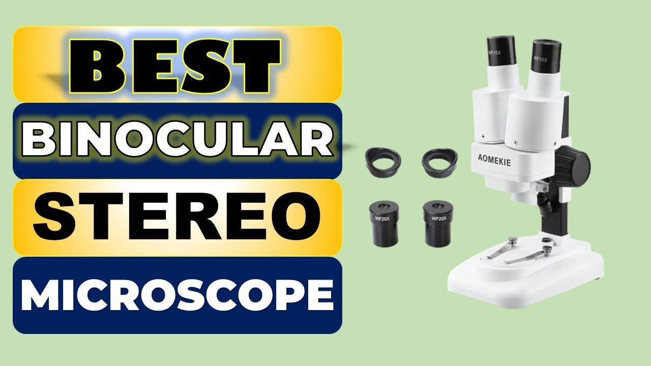 Top 5 Best Binocular Stereo Microscope in 2025 || From Aliexpress