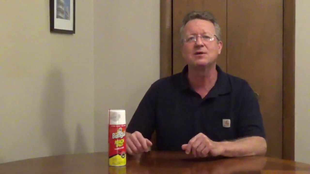 Roach Killer - Roach Spray