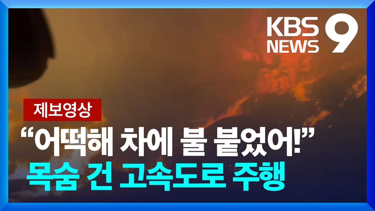 “사방에서 용암 같은 불이”…제보로 본 산불의 위력 [9시 뉴스] / KBS  2025.03.28.