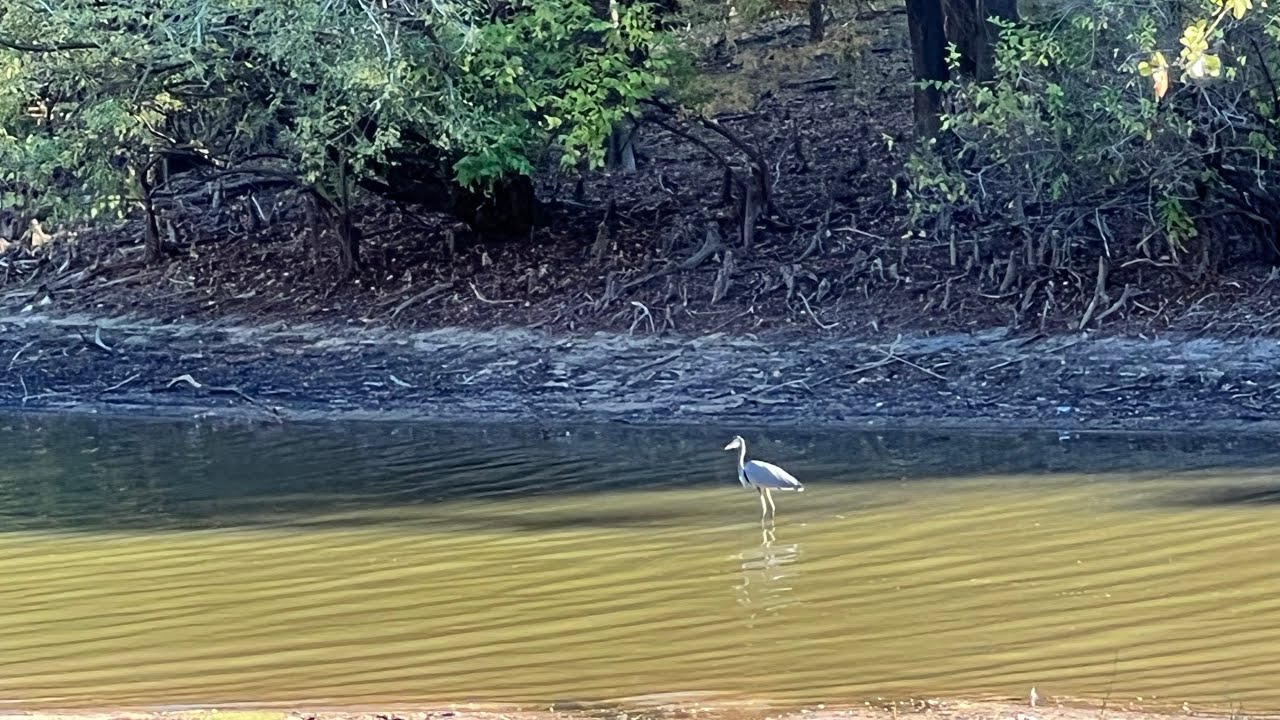 Hanks Creek, Army Corps of Engineers Campground Review