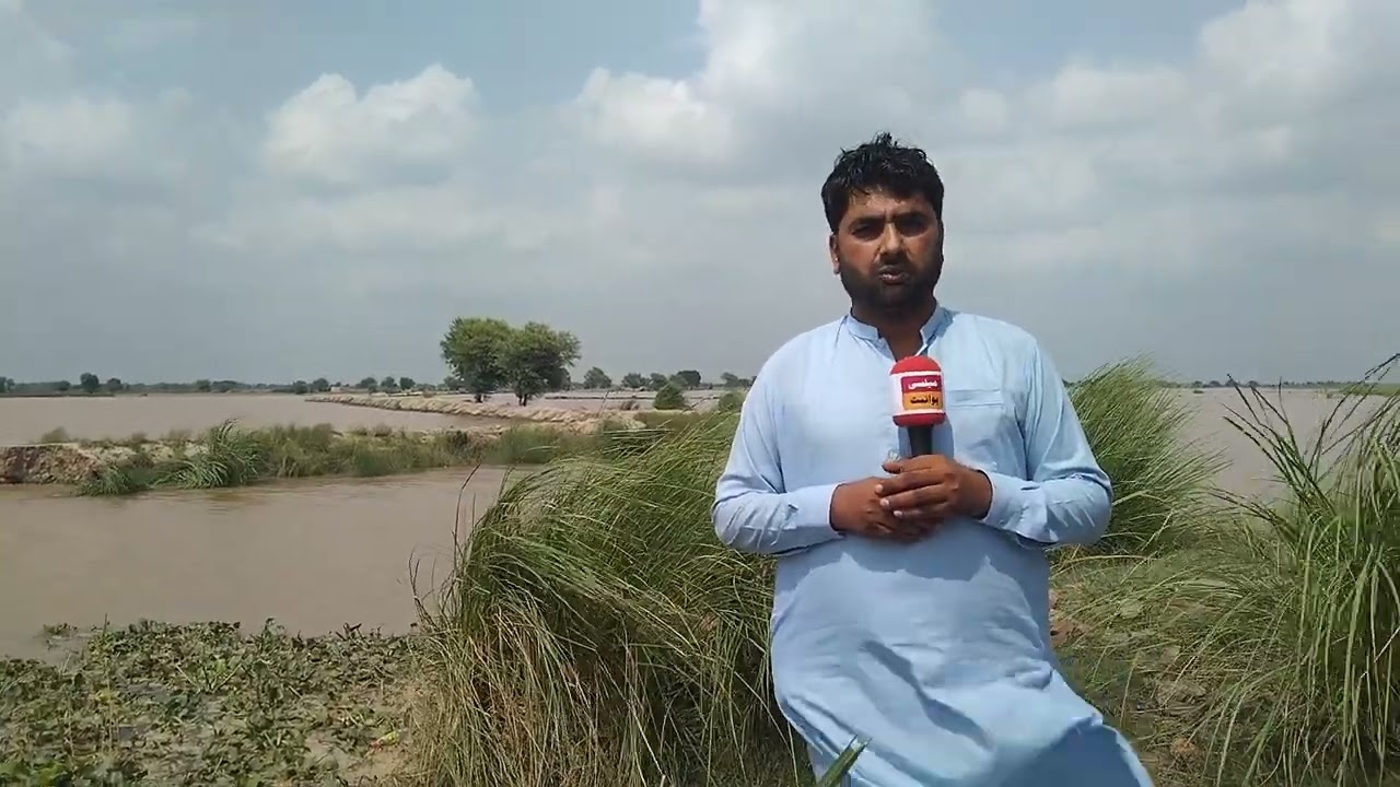 میلسی سائفن پر بند ٹوٹنے سے سیکڑوں ایکڑ فصلیں زیر آب میلسی پوائنٹ کو سبکراب کریں#Mailsi Point #safan