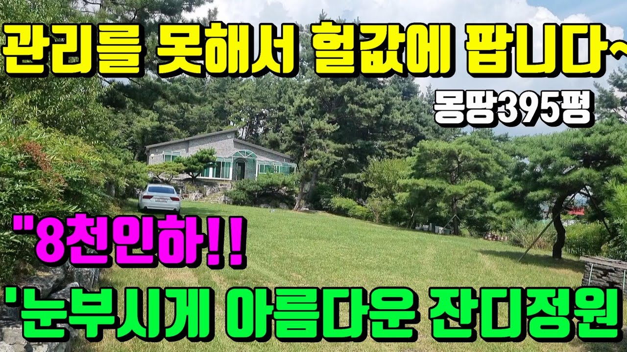[No.82]한번도 살아보지 못하고 관리가힘들어 헐값에 팝니다.한폭의 그림처럼 넓은잔디정원의 평수넓어서 좋은 영천전원주택매매(대지395py)/영천부동산가이드/영천부동산