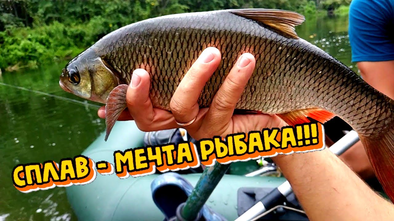 Сплав по реке СОК. Мечта любого рыбака!!! Ч-1