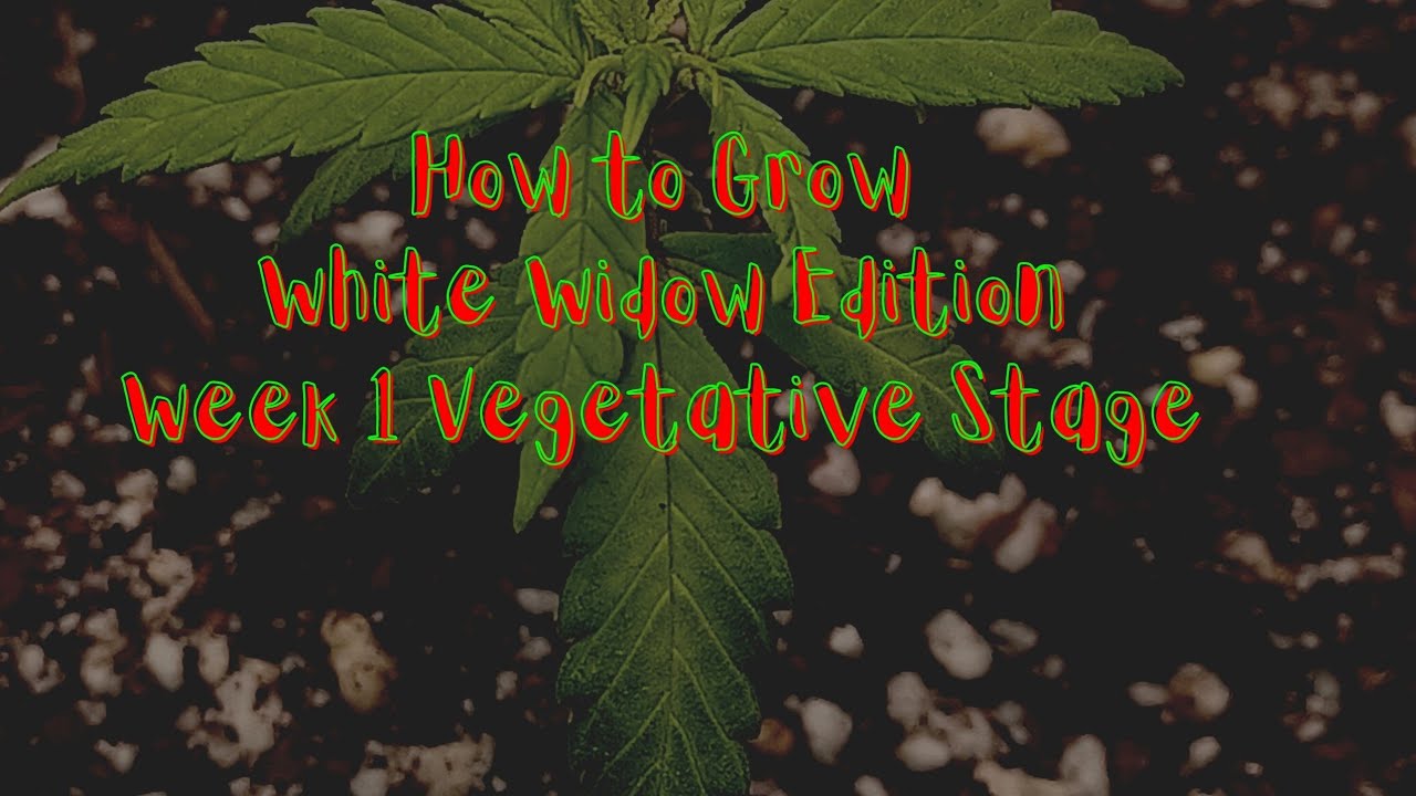 How to Grow| 