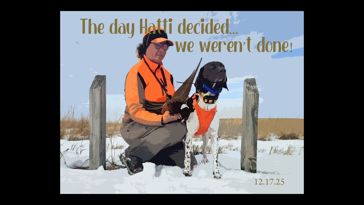 Iowa Pheasant Hunting with HHK - Hatti 12.17.25