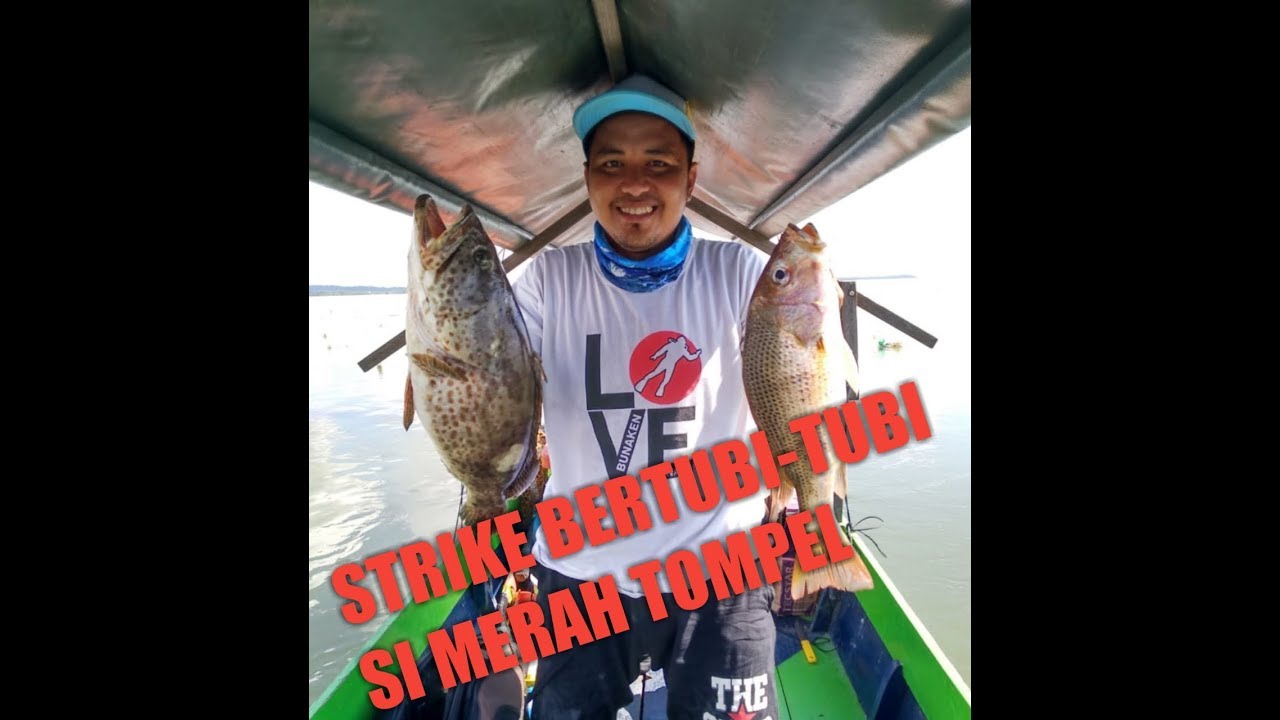 Mancing Jenaha si Kakap Tompel, Part 1