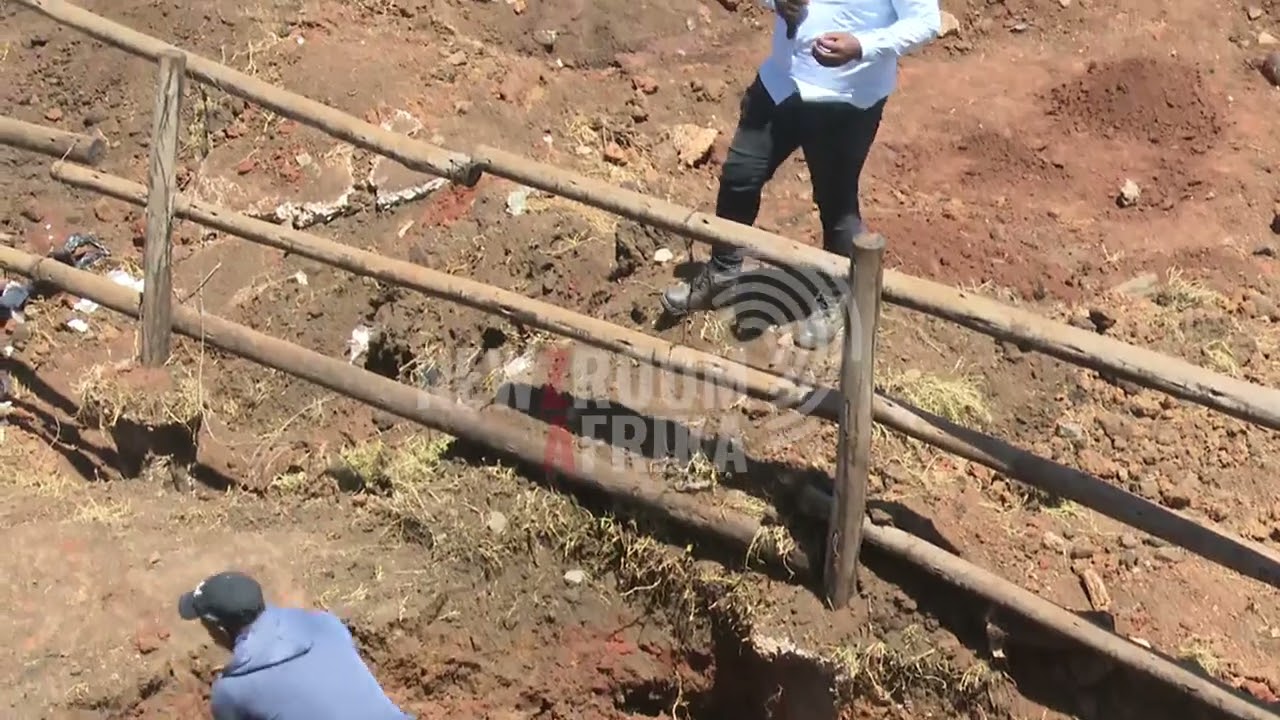 Digging frenzy continues in Springs