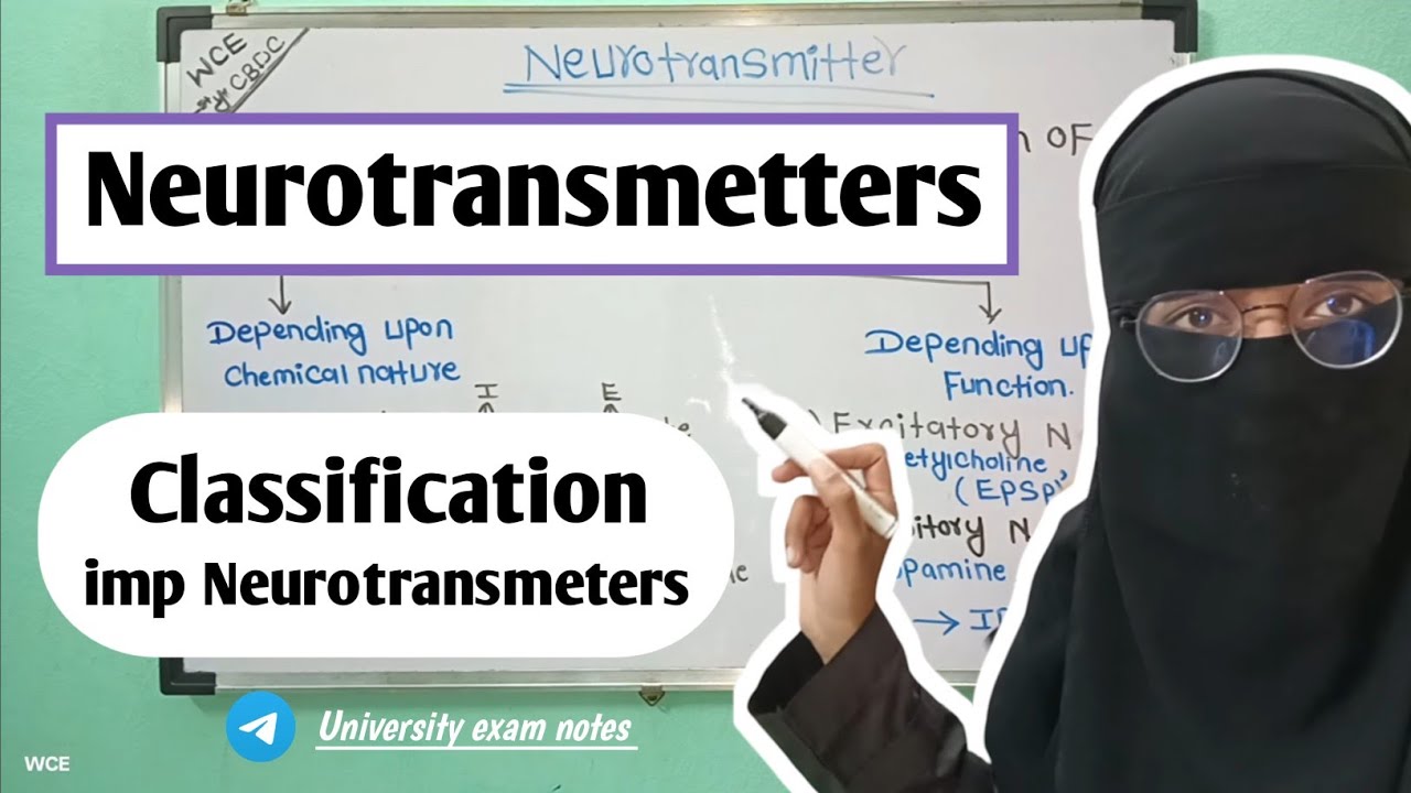 Neurotransmitter Physiology l Nervous System Physiology #importantquestions #cns