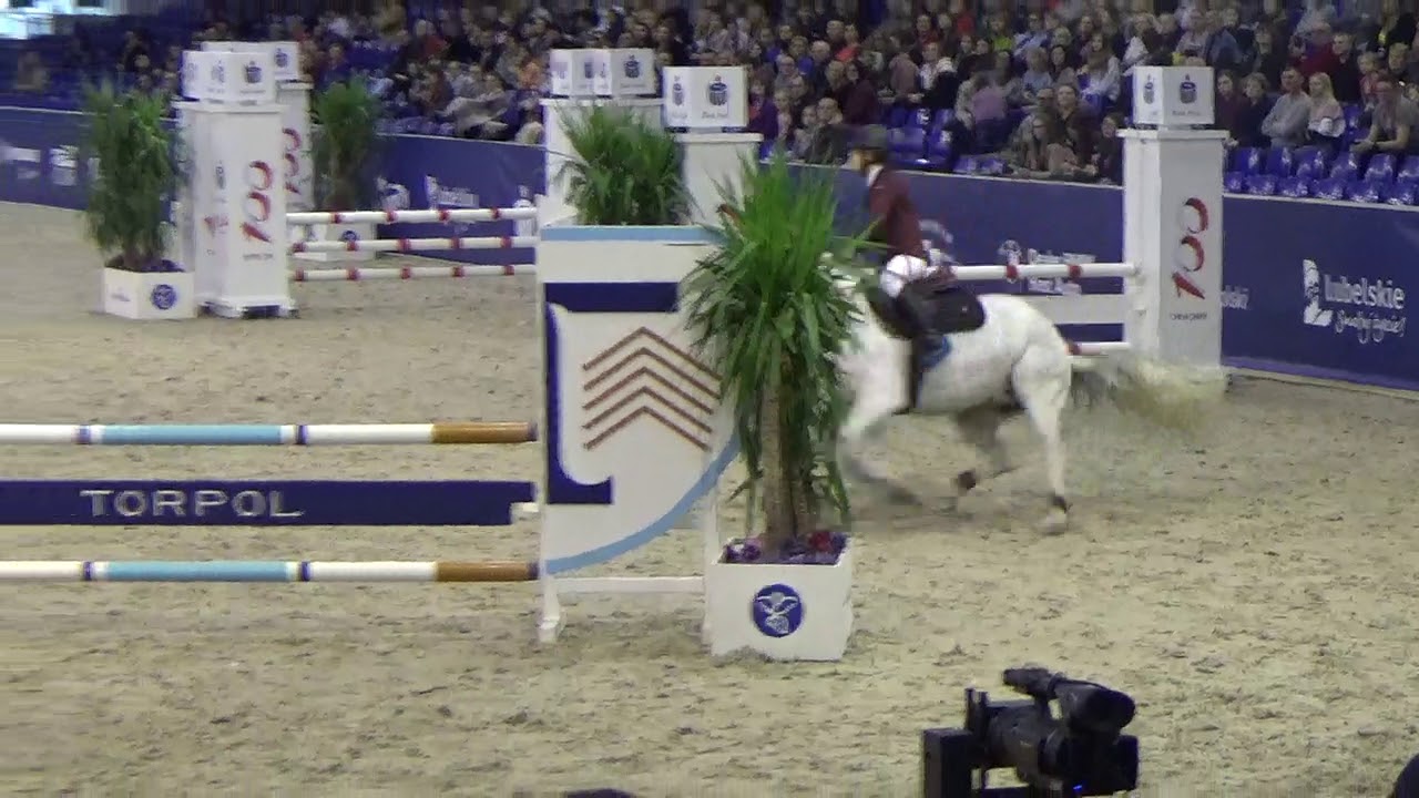 Rozgrywka MIDI Cavaliada Future Lublin 2019 niedziela