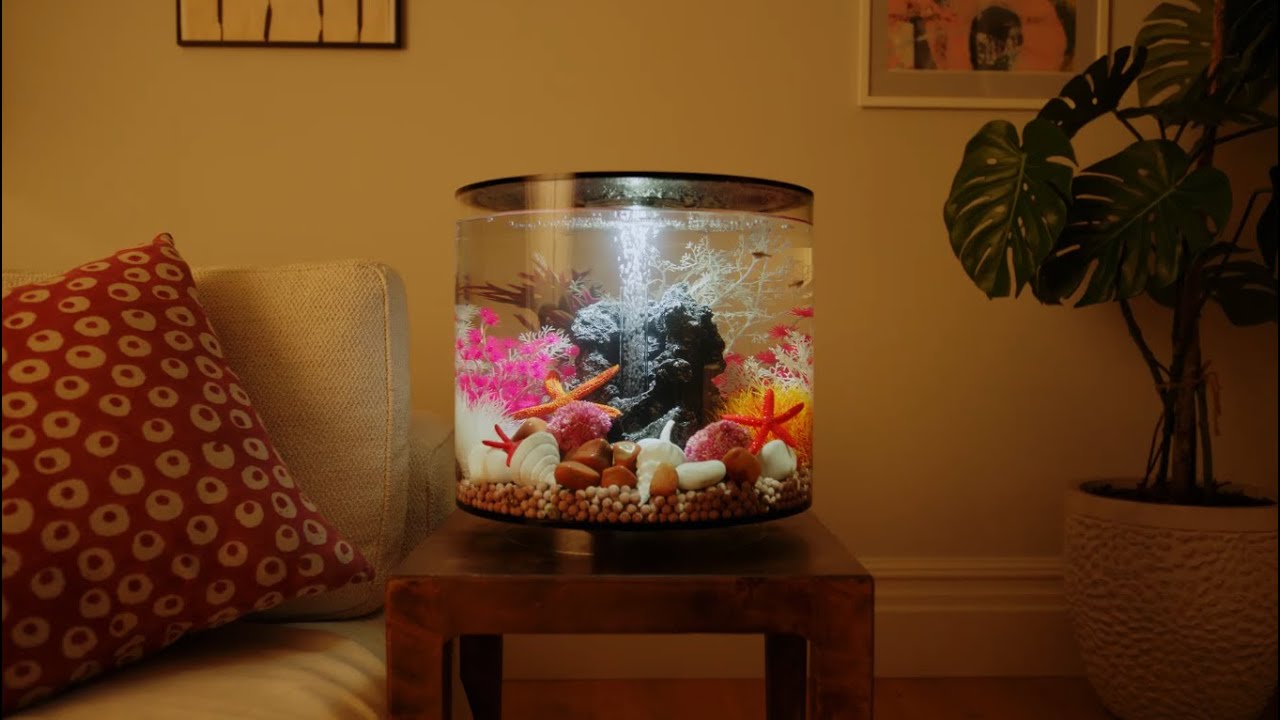 biOrb TUBE ⎸ Aquarium Product Overview
