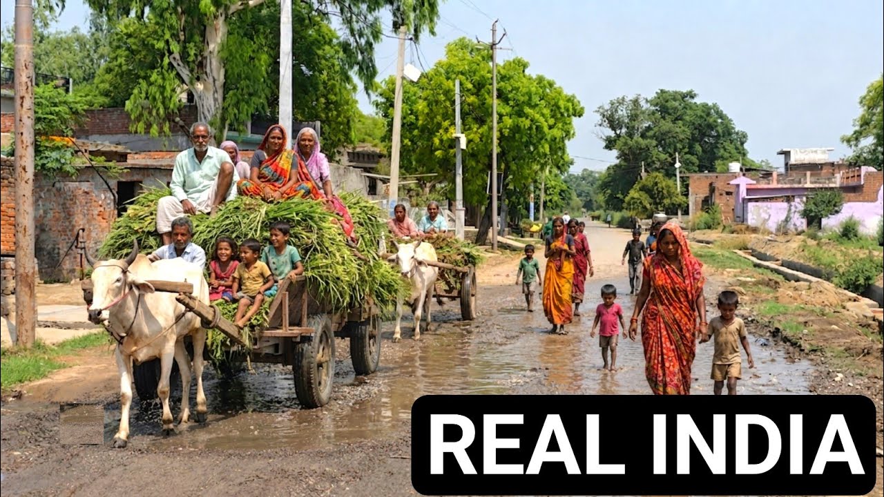 🇮🇳Seeing The Reality Of India Will Compel You to Think. [ Millions Live Like This Every Day 