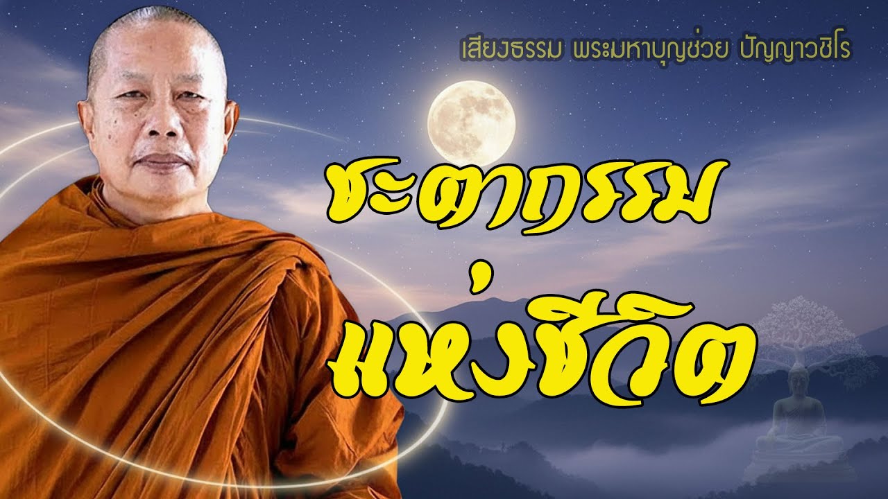 ชะตากรรมแห่งชีวิต…เราเลือกได้ด้วยการกระทำ  #ธรรมะก่อนนอน #พระมหาบุญช่วย ปัญญาวชิโร
