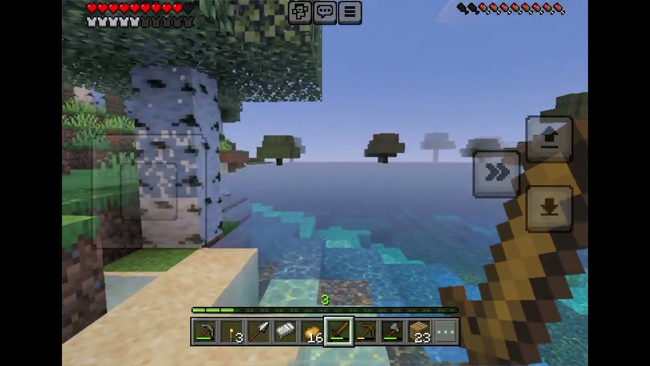 The Minecraft episode