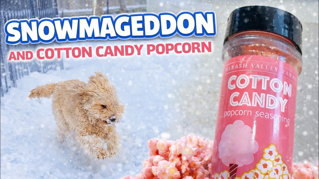 Arie's World is live!  Snowmageddon & Cotton Candy Popcorn? ❄️🍿 🚨New time 5:30.
