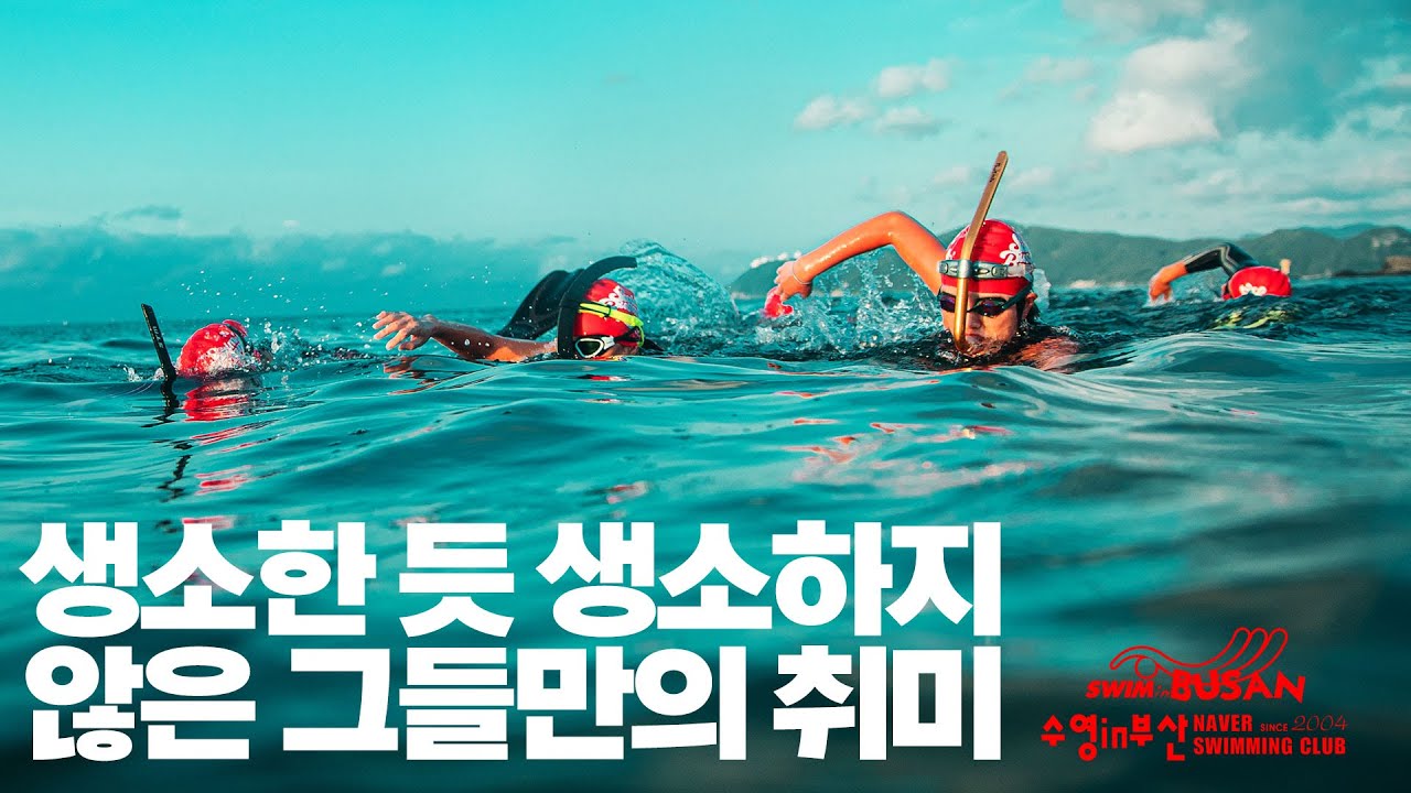 부산 대표 수영 동호회 '수영in부산' 동호회분들과 바다 수영하고 왔습니다. (feat 해운대)