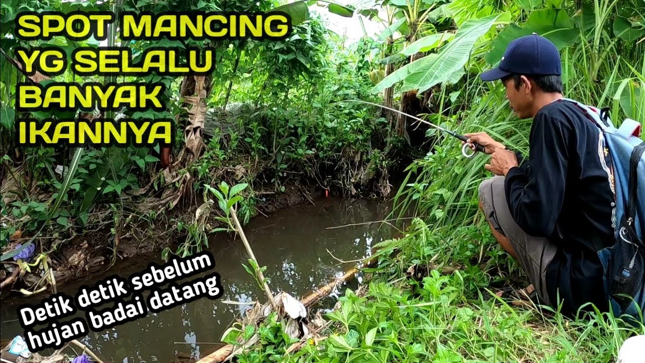Mancing di selokan Dapat Banyak bro..