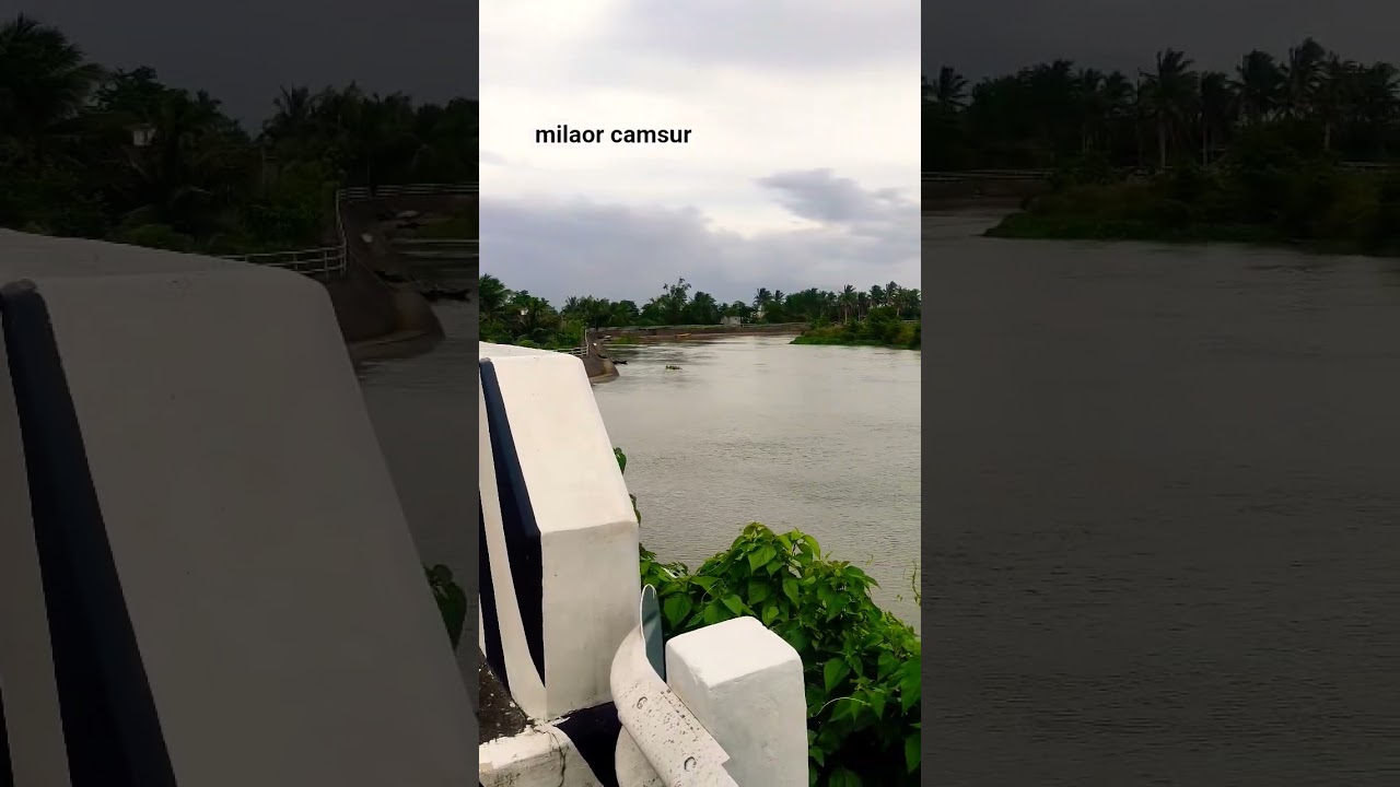 Milaor Camsur 