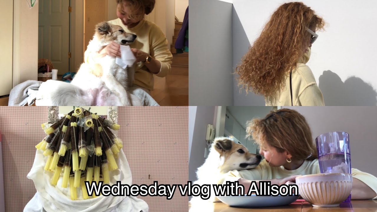 Wednesday Vlog with Allison - ドッグランからの美容室なとある水曜日