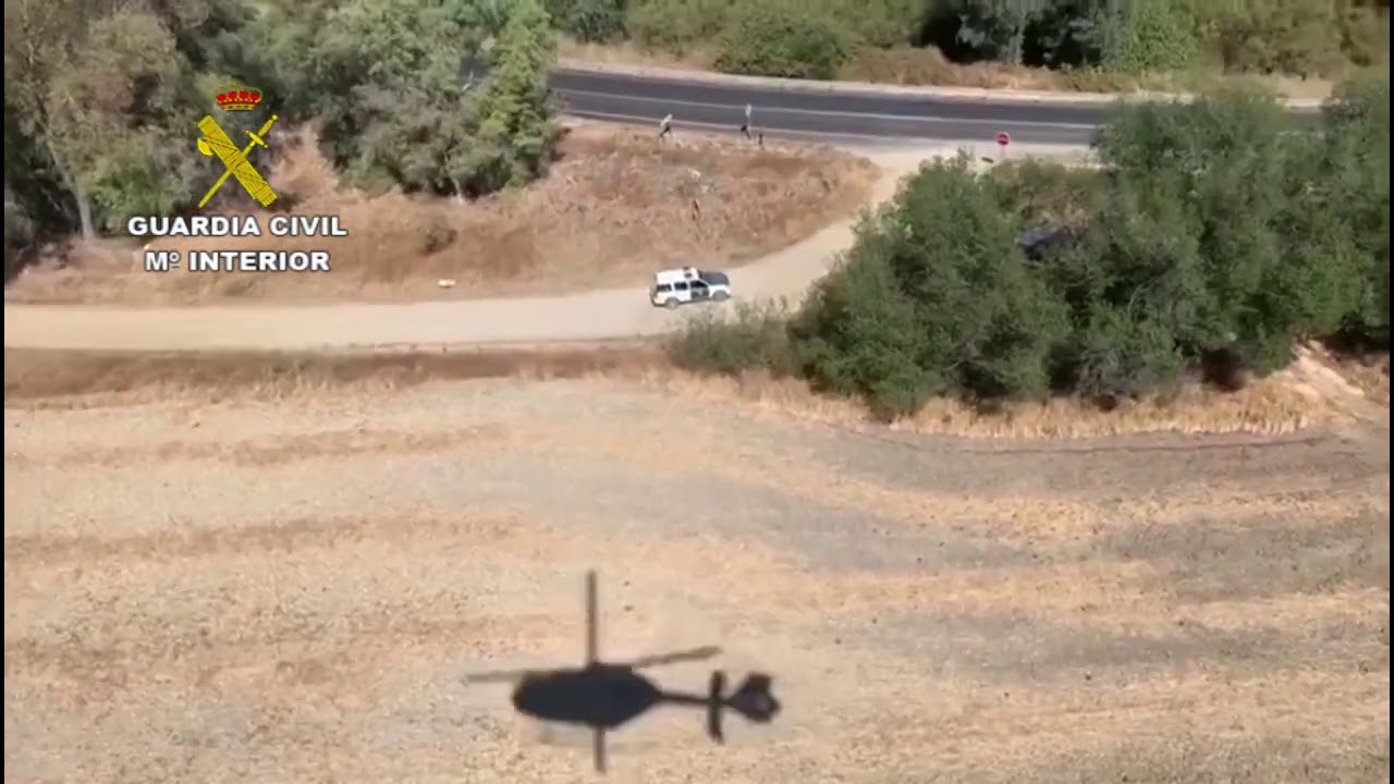 BORNOS | GUARDIA CIVIL INCAUTACIÓN PLANTACIÓN DE MARIHUANA
