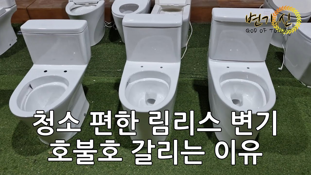 무조건 좋은줄 알았던 림리스 변기 불편한 점 알아보기