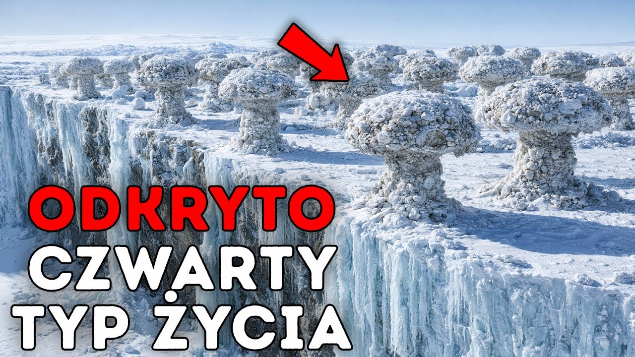 Naukowcy odkryli NOWĄ formę życia w lodowej ścianie Antarktydy