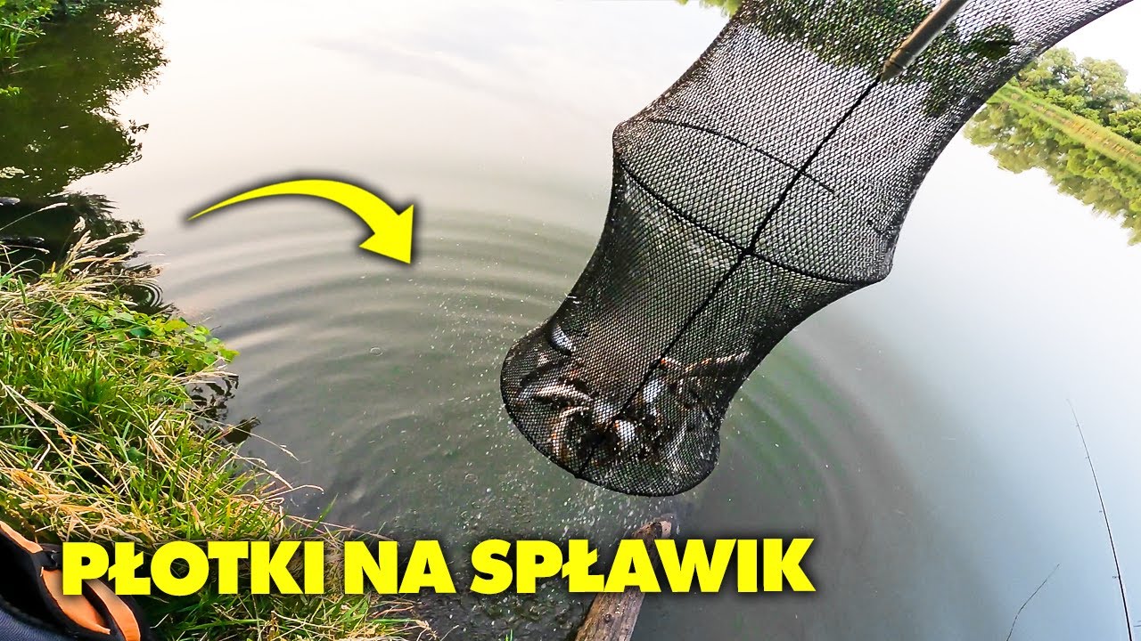 PŁOTKI na SPŁAWIK BLISKO BRZEGU - WĘDKARSTWO SPŁAWIKOWE