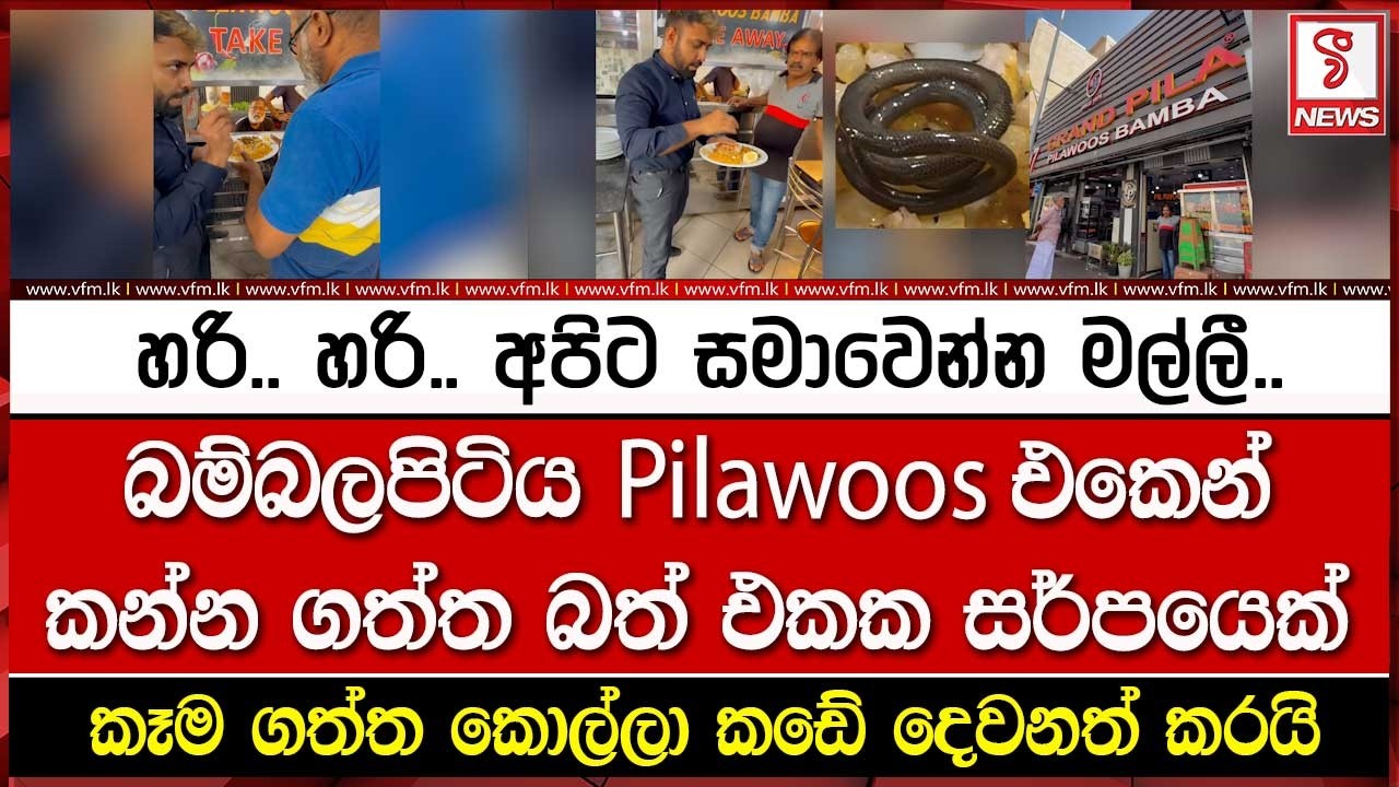 බම්බලපිටිය Pilawoos එකෙන් කන්න ගත්ත බත් එකක සර්පයෙක්
