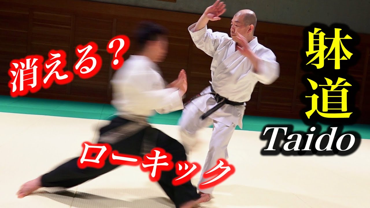 TAIDO vs Low Kick, Invisible speed!