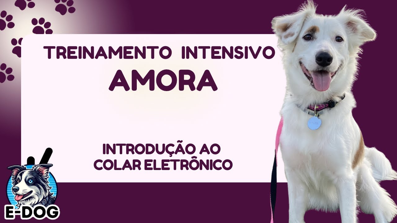 Introdução ao colar eletrônico - Dia 02 - Treinamento Intensivo Amora