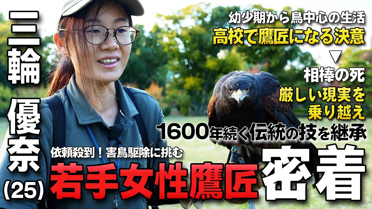 超多忙！若き女性鷹匠の現場に同行！1600年続く放鷹術でカラスを寄せつけない技を披露！