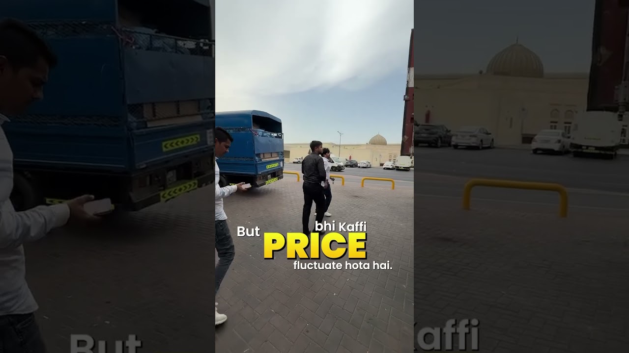 Export to Dubai from India🇮🇳 Part-1