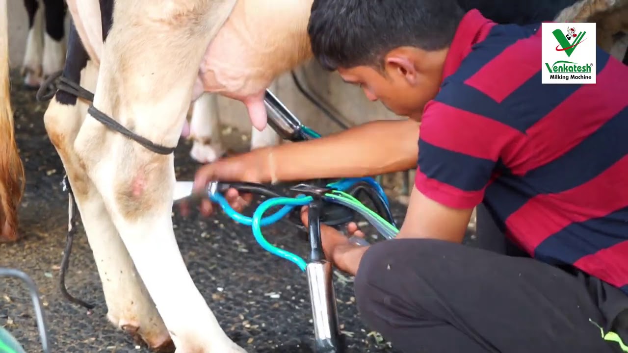 VENKATESH MILKING MACHINE