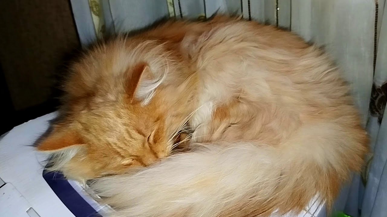 #Славянск