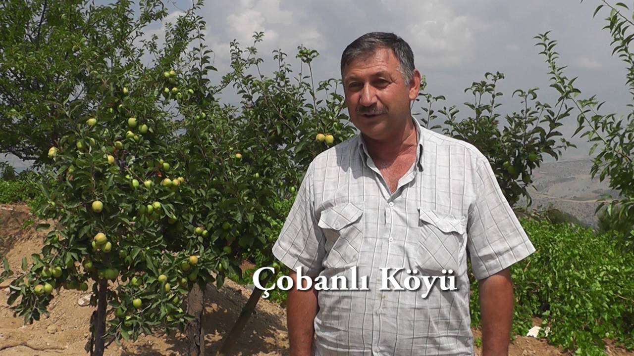 bertiz cobanlı köyü tanıtım videosu