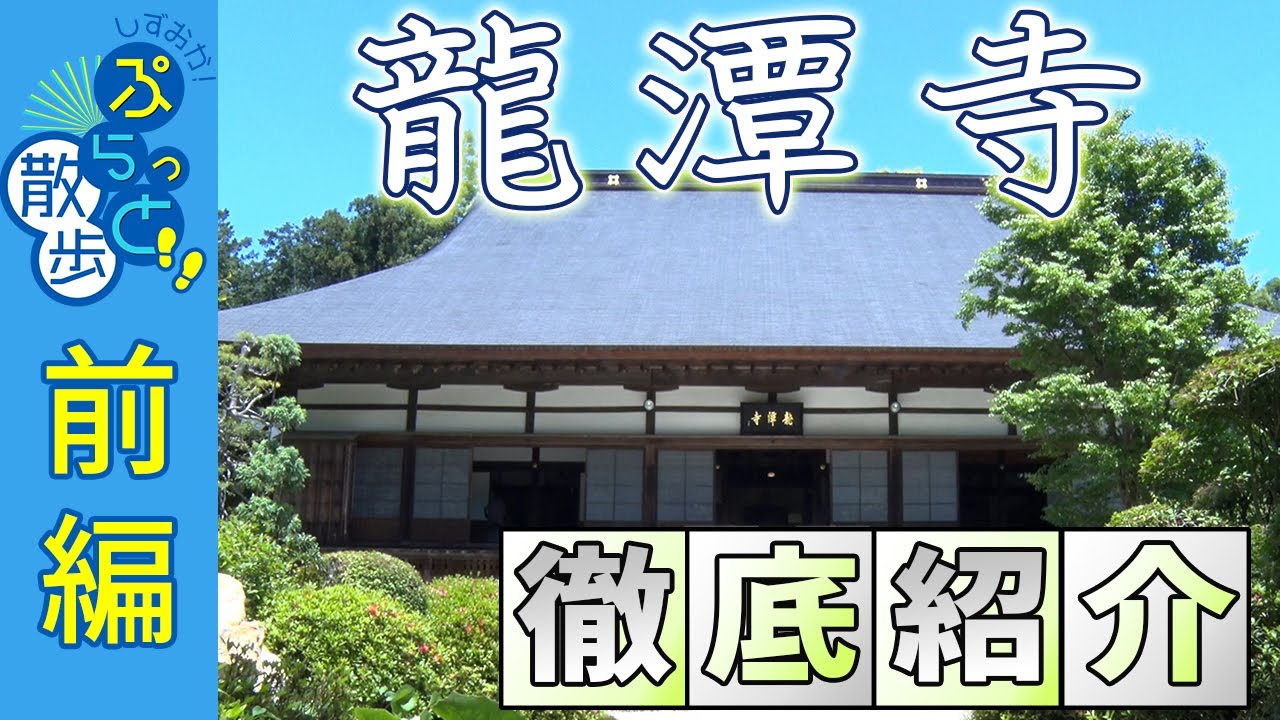 遠州の名古刹「龍潭寺」をご住職が徹底紹介｜井伊家の歴史｜仏教庭園は必見【ぷらっと散歩2024夏篇/遠州信用金庫＜前編＞】
