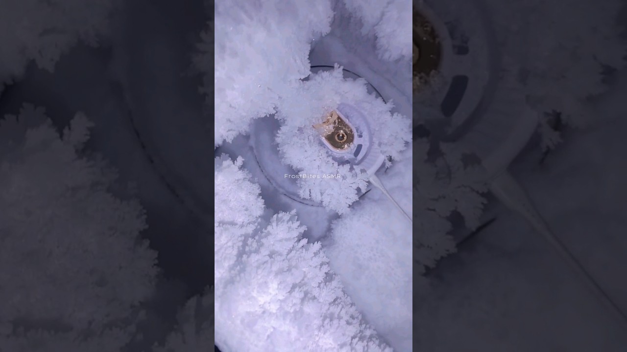 CRUNCHY FREEZER FROST EATING ASMR