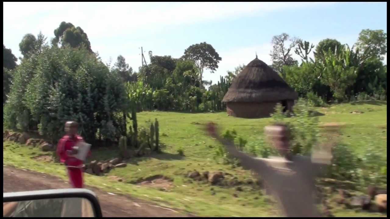 Ethiopia: Bale Mountains, Sanetti Plateau, Rare Birds and Animals