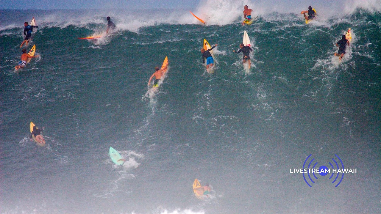 LIVE NOW - Waimea Bay SurfCAM Day2