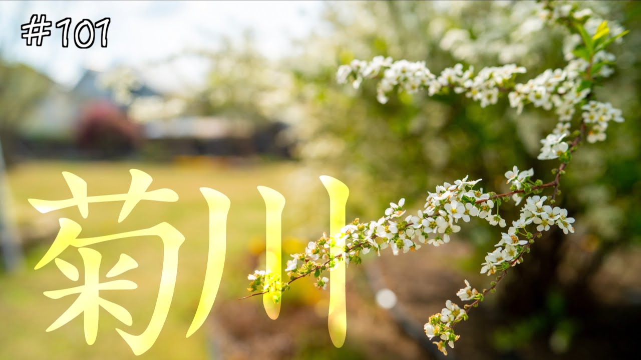 《モトブログ》#101 菊川を旅する【バイク】バルカン セロー GB250