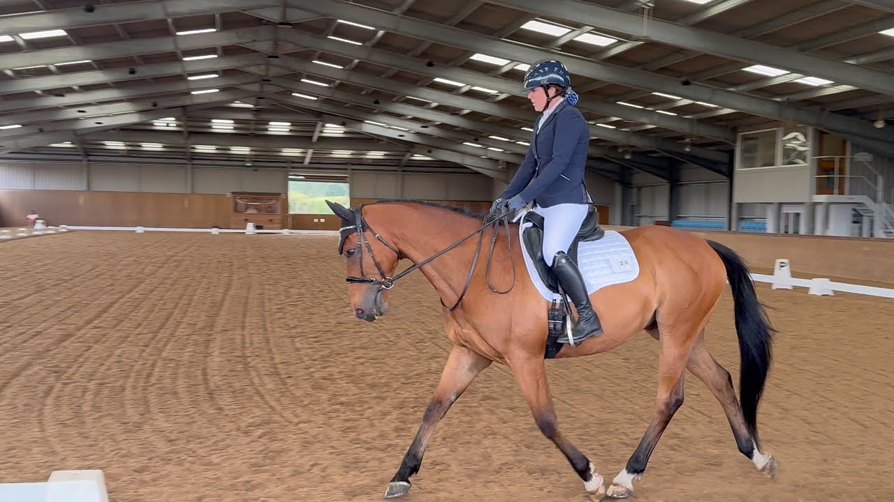 BD - Novice 6 - Stourport 16.6.25 - 68.55%